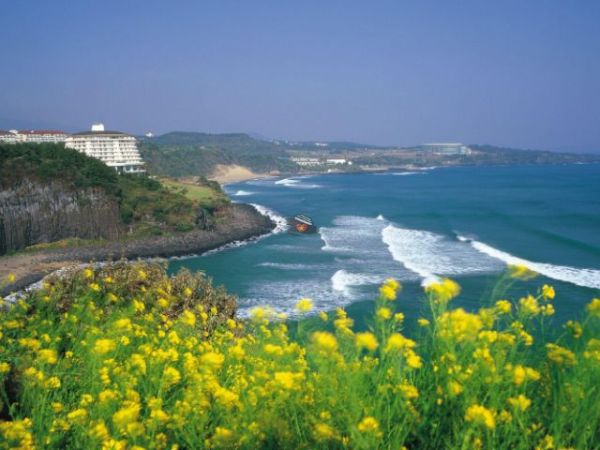 trips to south korea (7)